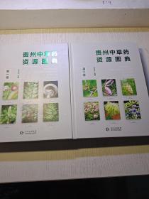 贵州中草药资源图典.第一二卷  全二本