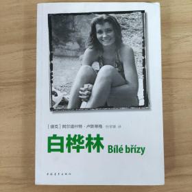 白桦林