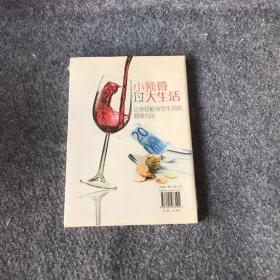 小預算過大生活