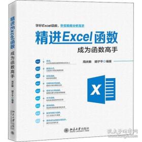 全新正版 精进Excel函数：成为函数高手 周庆麟 9787301316634 北京大学出版社