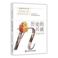 全新正版 历史的兴衰/图像里的中国 王海晨 9787543978652 上海科学技术文献出版社