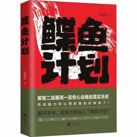 鲽鱼计划 历史、军事小说 张新科