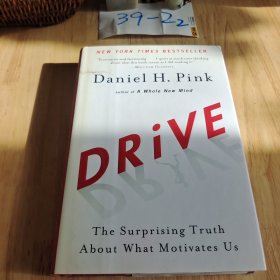 Drive：The Surprising Truth About What Motivates Us