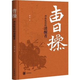 曹 冲出危局的清醒者 中国古典小说、诗词 韩昇 新华正版