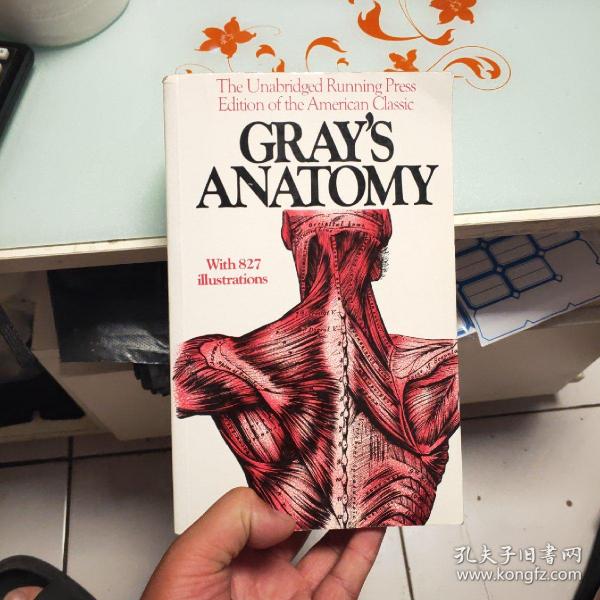 Gray's Anatomy_Henry Gray 著_孔夫子旧书网