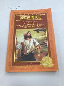 海豚文学馆·世界文学名著宝库：鲁滨逊漂流记（青少版）