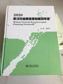 武汉市自然资源和规划年鉴 2020