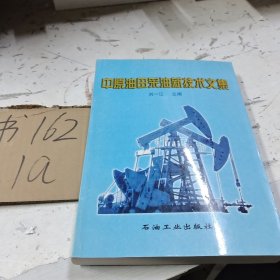 中原油田采油新技术文集
