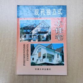 现代独立式小住宅 建筑