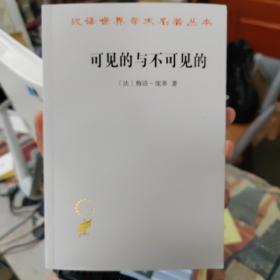 可见的与不可见的(汉译名著本15)