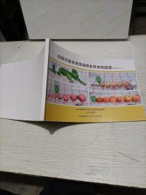 回顾性膳食调查辅助参照食物图谱（便携版v1.0） 32开本 122页 铜版彩印