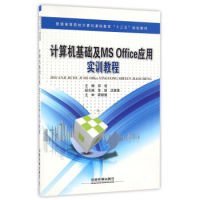 计算机基础及MSOffice应用实训教程