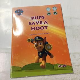 PAW Patrol  ：pups save a hoot