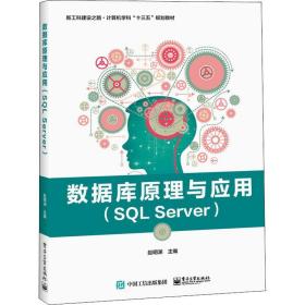 »ֱ. ݿԭӦ(SQL Server) Ԩ ӹҵ 9787121360763 ͨͼ/̲Ľ̸///