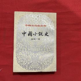 中国文化史丛书；中国小说史...下册..郭箴一 著