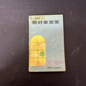 烧好家常菜  一版一印