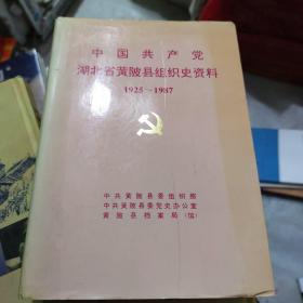 中国共产党湖北省黄陂县组织史资料(b16开B230210)