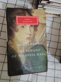 Agnes Grey: The Tenant of Wildfell Hall. Anne Bronte (Everyman Classics)