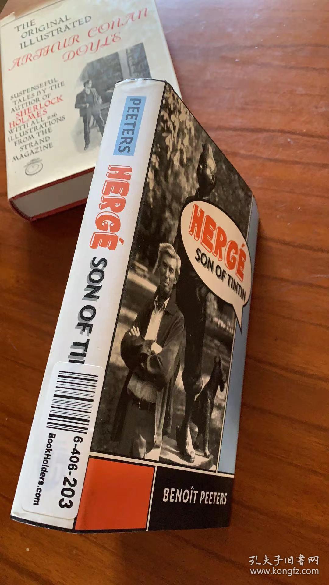 herge son of tintin 埃尔热：丁丁之子