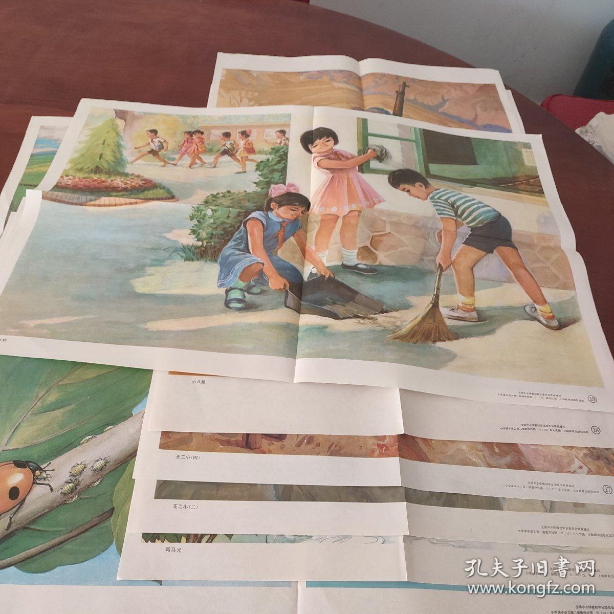 五六年制小学课本语文教学挂图第二册全套y2