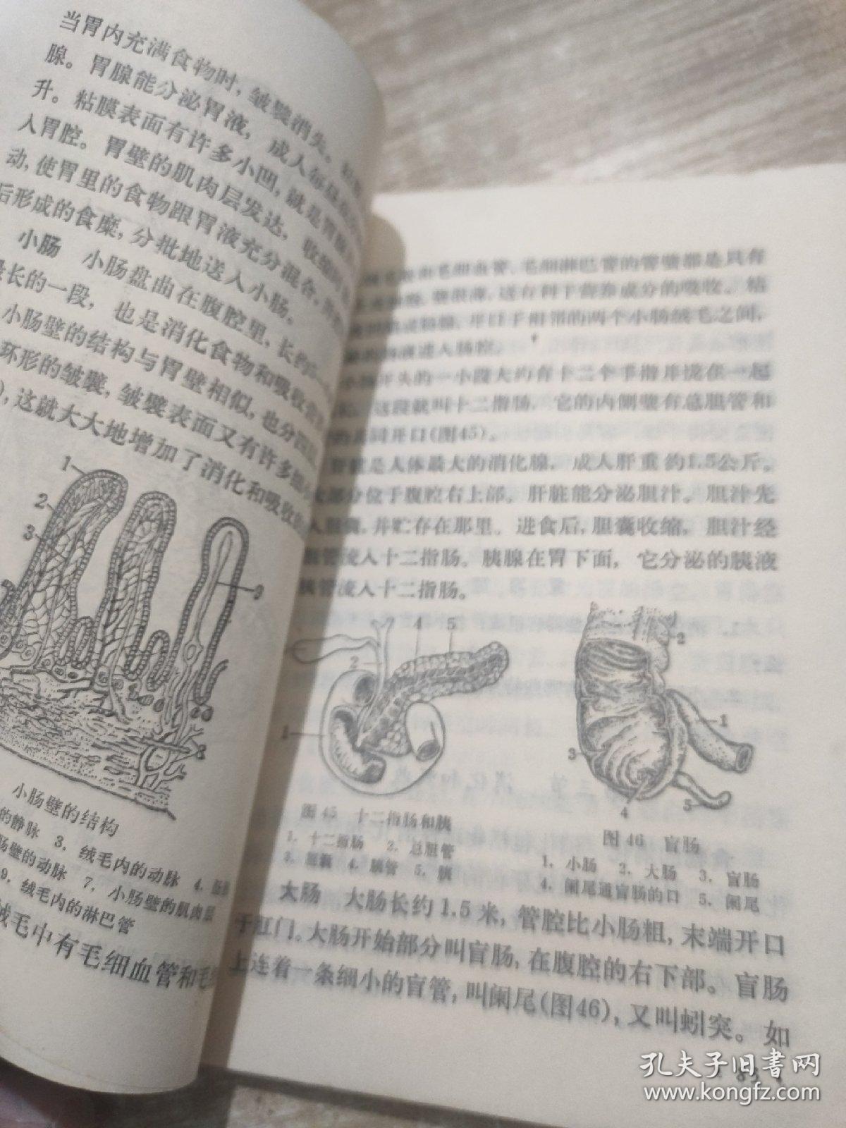 80年代老课本 老版初中生理卫生课本 初