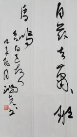 郭鸿光书法宁夏书协副秘书长银川书协副主席青山横北郭136*68，郭鸿光，男，汉族，1973年5月出生，中书协会员、民建会员。宁夏书法家协会副秘书长，银川市书法家协会副主席，银川市青年书法家协会主席。