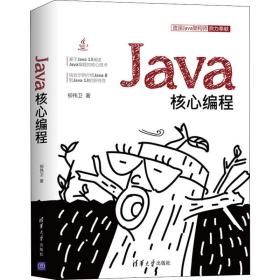 java核心编程 编程语言 柳伟卫