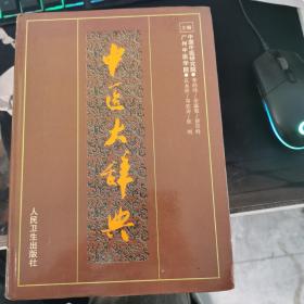 中医大辞典