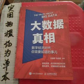 大数据真相：数字经济时代你需要知道的事儿