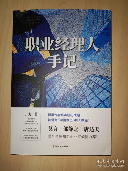 职业经理人手记(中国专业作家作品典藏文库.丁力卷)