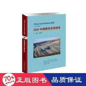 2020中国煤炭发展报告 财政金融 贺佑国