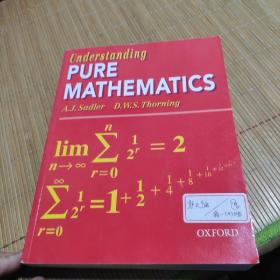 Understanding Pure Mathematics(现货)