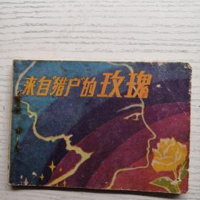 連環畫 來自獵戶的玫瑰