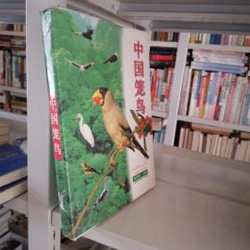 中国笼鸟（大16开 铜版印刷）