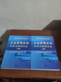 企业管理咨询实务与案例分析（套装上下册）