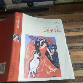 译林名著精选：巴黎圣 母院（插图本）
