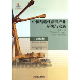 中国战略性新兴产业研究与发展茅仲文 等 编机械工业出版社