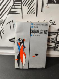 湖畔戀情 中國文聯出版公司
