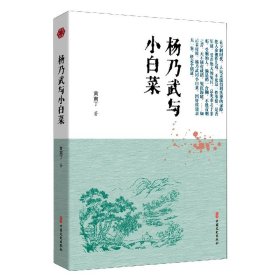 杨乃武与小白菜 中国文史出版社 9787520518710 黄南丁