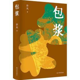 包浆 中国现当代文学 徐风 新华正版