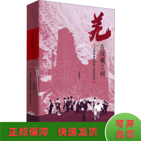 羌在汉藏之间 川西羌族的历史人类学研究