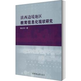 保正版！滇西边境地区教育信息化现状研究9787569264029吉林大学出版社陶文玲