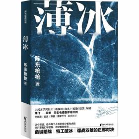 全新正版 薄冰 陈东枪枪 9787533960889 浙江文艺出版社