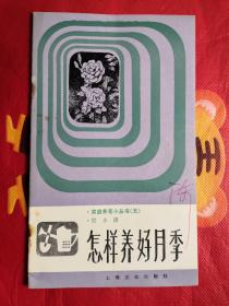 怎樣養好月季