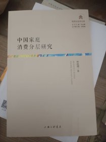 中国家庭消费分层研究