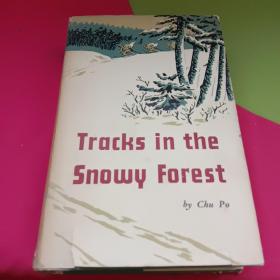 Tracks in the Snowy Forest 林海雪原