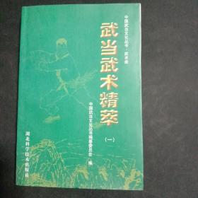 武当武术精粹