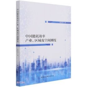 【正版书籍】中国能耗效率产业、区域及空间测度