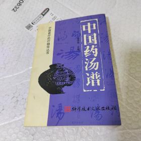 中国药汤谱-中国食疗药疗精华丛书