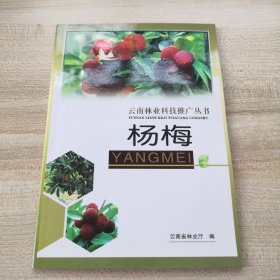 云南林业科技推广丛书 杨梅